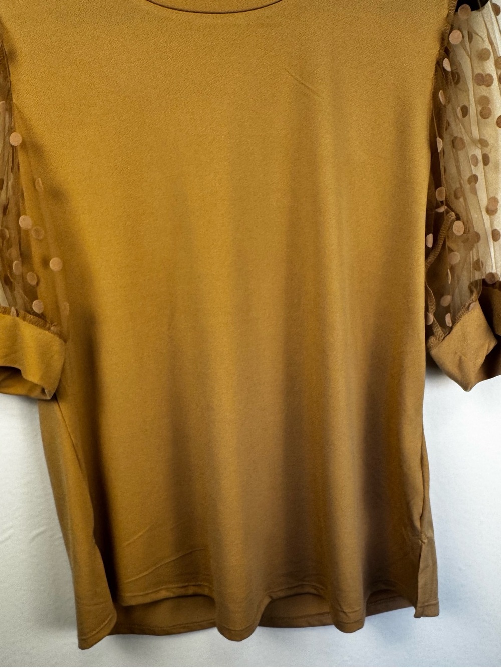 Alison Andrews SZ Large Camel Puff Sleeve Swiss Dot Mesh Top Sheer Sleeve Blouse - Picture 9 of 11